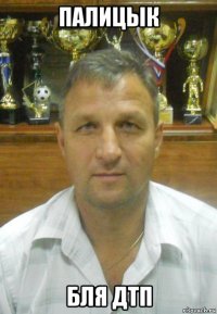 палицык бля дтп