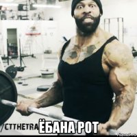  ёбана рот