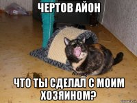 чертов айон что ты сделал с моим хозяином?