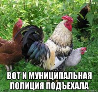  вот и муниципальная полиция подъехала
