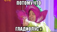 потому что гладиолус❁