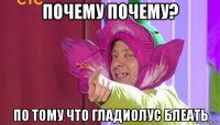 почему почему? по тому что гладиолус блеать
