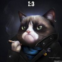σ:3 