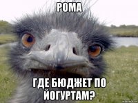 рома где бюджет по йогуртам?