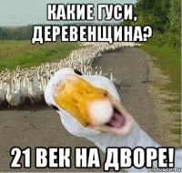 какие гуси, деревенщина? 21 век на дворе!