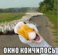  окно кончилось