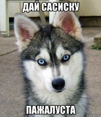 дай сасиску пажалуста
