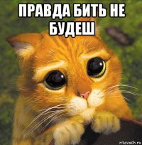 правда бить не будеш 
