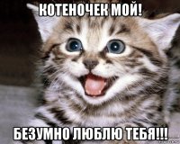 котеночек мой! безумно люблю тебя!!!