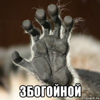  збогойной