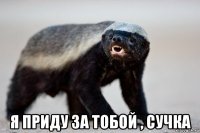  я приду за тобой , сучка