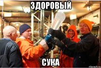 здоровый сука