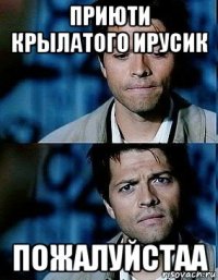 приюти крылатого ирусик пожалуйстаа