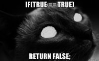 if(true == true) return false;