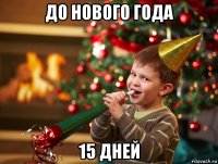 до нового года 15 дней