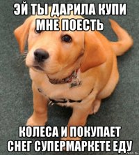 эй ты дарила купи мне поесть колеса и покупает снег супермаркете еду