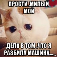 прости ,милый мой дело в том ,что я разбила машину....
