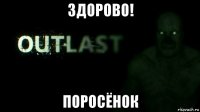здорово! поросёнок