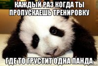 каждый раз когда ты пропускаешь тренировку где то грустит одна панда