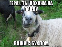 гера... ты похожа на панду вяжи с бухлом