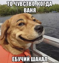 то чувство, когда ваня ебучий шакал