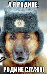 а я родине, родине служу!