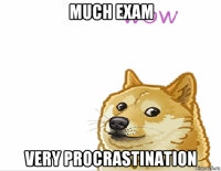 much exam very procrastination
