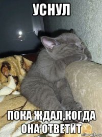 уснул пока ждал,когда она ответит
