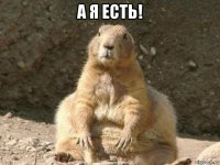 а я есть! 