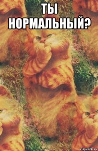 ты нормальный? 