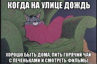 когда на улице дождь хорошо быть дома, пить горячий чай с печеньками и смотреть фильмы