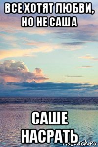 все хотят любви, но не саша саше насрать