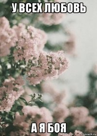 у всех любовь а я боя