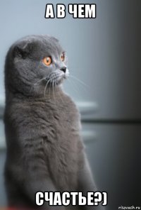 а в чем счастье?)