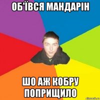 об'ївся мандарін шо аж кобру поприщило