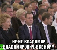  не-не, владимир владимирович, все норм