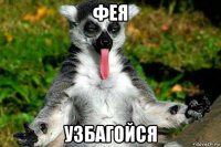 фея узбагойся