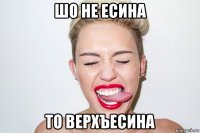 шо не есина то верхъесина