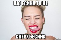 шо есина то не сверхъесина