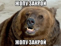 жопу закрой жопу закрой