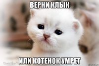 верни клык или котенок умрет