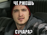 че ржешь сучара?