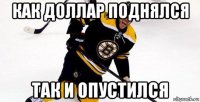 как доллар поднялся так и опустился