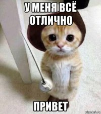 у меня всё отлично привет