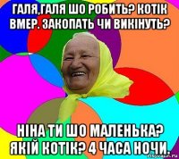 галя,галя шо робить? котік вмер. закопать чи викінуть? ніна ти шо маленька? якій котік? 4 часа ночи.