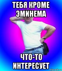 тебя кроме эминема что-то интересует