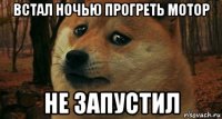 встал ночью прогреть мотор не запустил