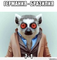 германия - бразилия 7 - 1