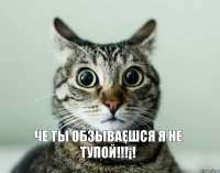 Че ты обзываешся я не тупой!!!¡!