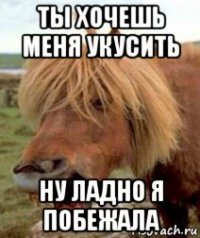 ты хочешь меня укусить ну ладно я побежала